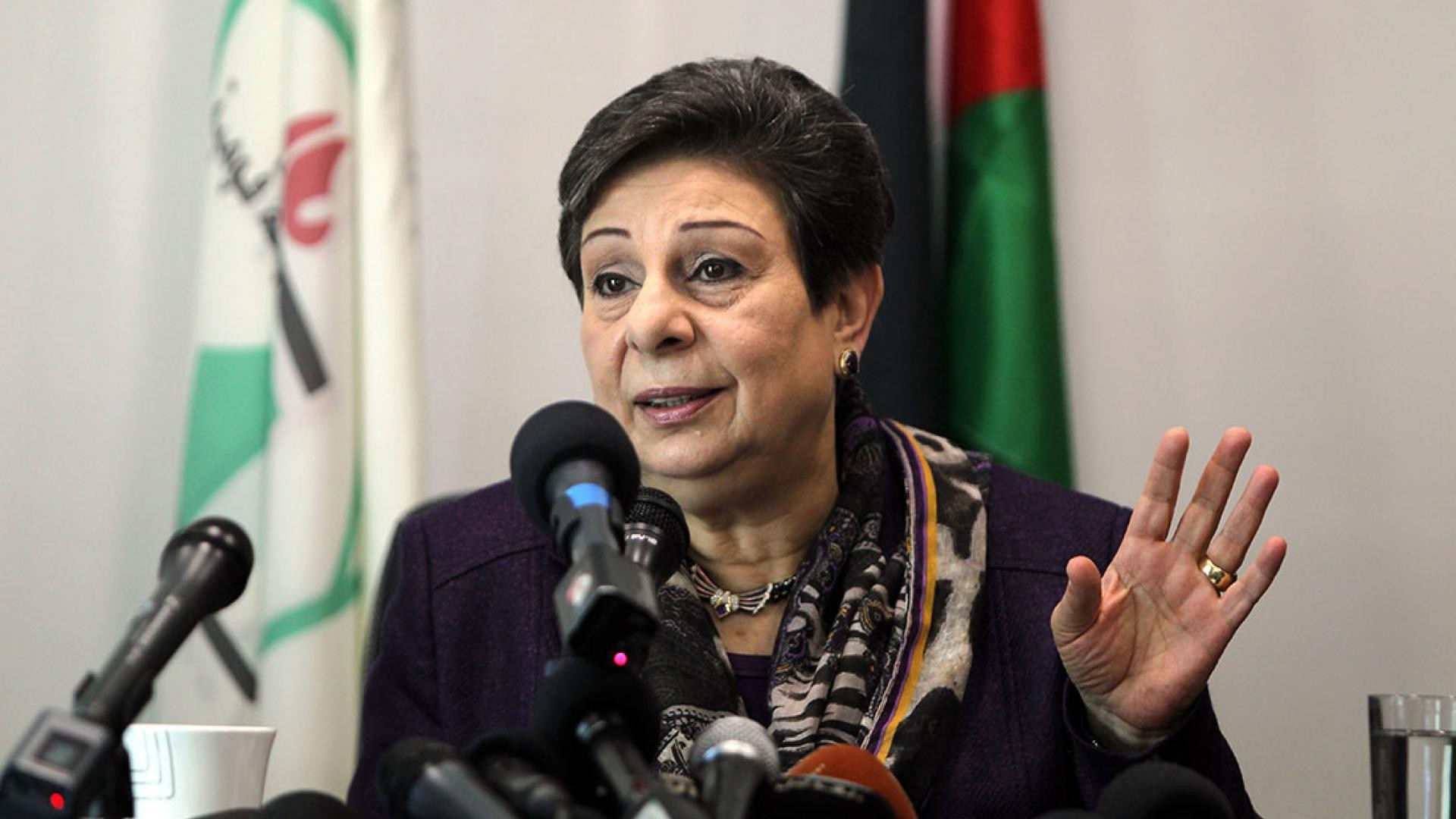 Политика палестины. Ханан Ашрауи. Ханан элатр. Al Ashrawi. Un Resolution on Palestine.